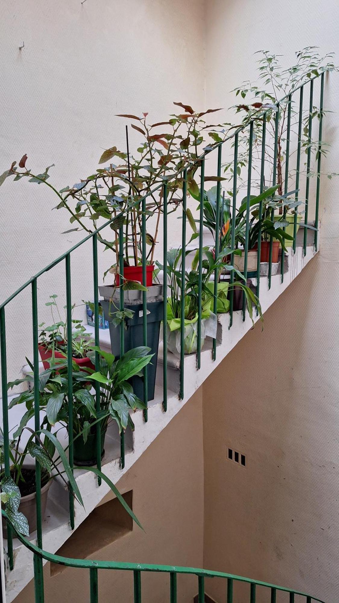 Vacance Et Cure Dans Duplex 80 M2 A Ceret 66400 Bagian luar foto